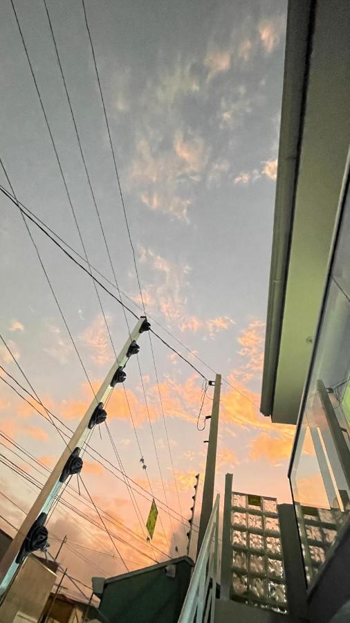 Lindo Apartamento Com 2 Quartos Prox Ao Jardim Botanico E Aeroporto Curitiba Exteriör bild